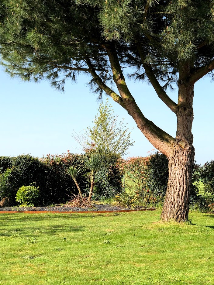 Les bordures de vos jardins FERIGAMI