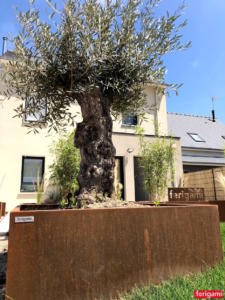 Jardinieres acier corten ferigami